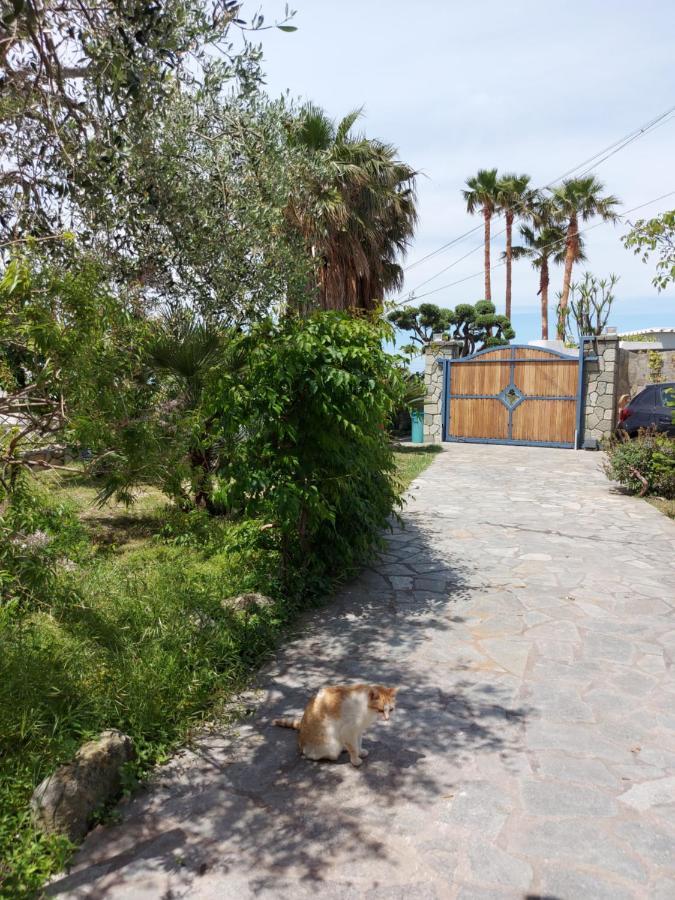 Villa Symphony Sea View Forio di Ischia 외부 사진
