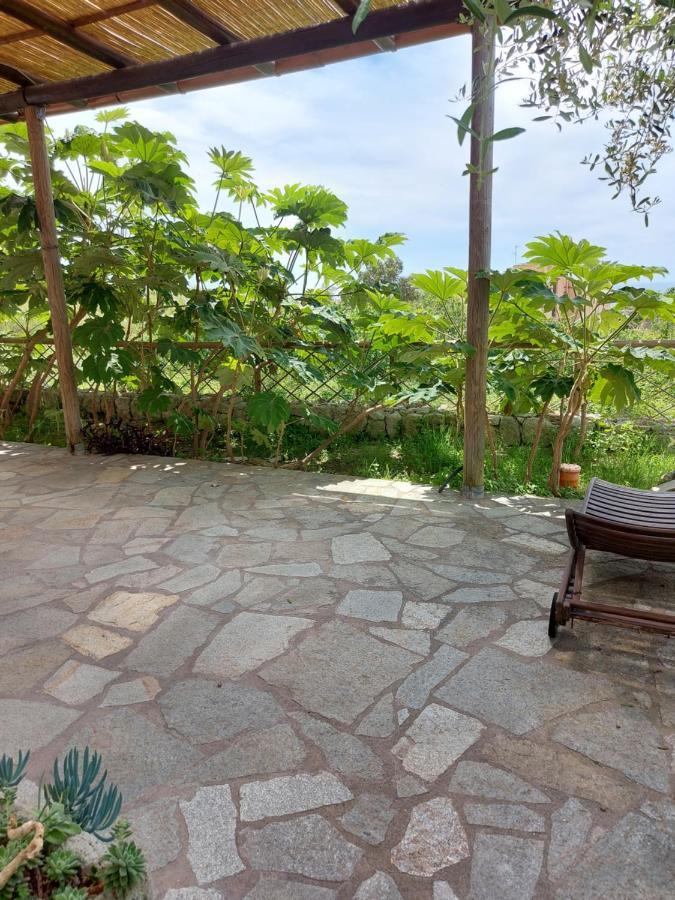 Villa Symphony Sea View Forio di Ischia 외부 사진