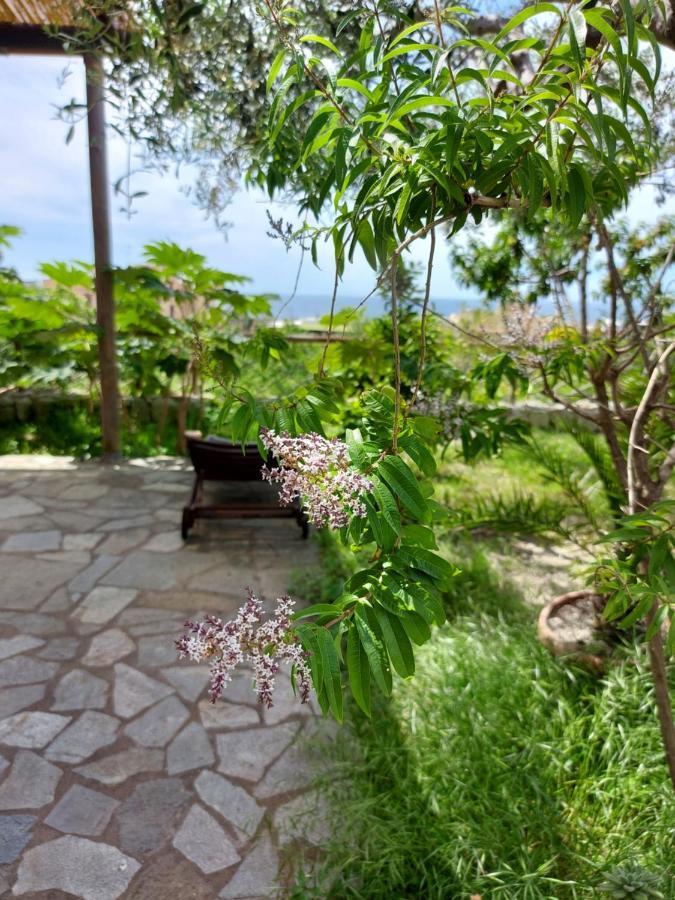Villa Symphony Sea View Forio di Ischia 외부 사진