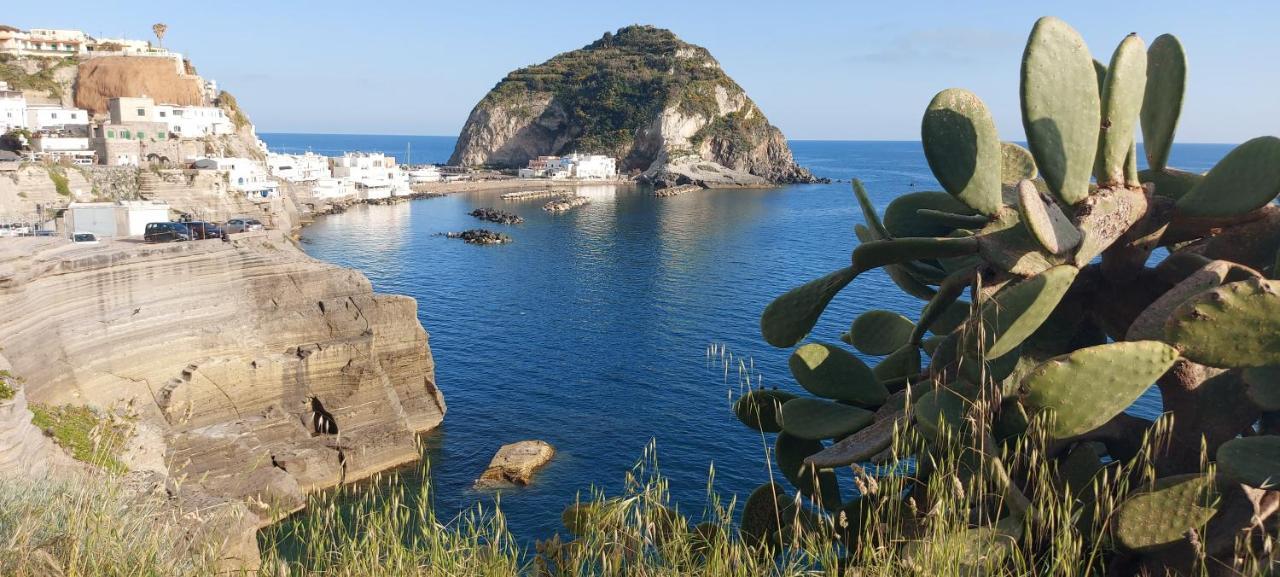 Villa Symphony Sea View Forio di Ischia 외부 사진