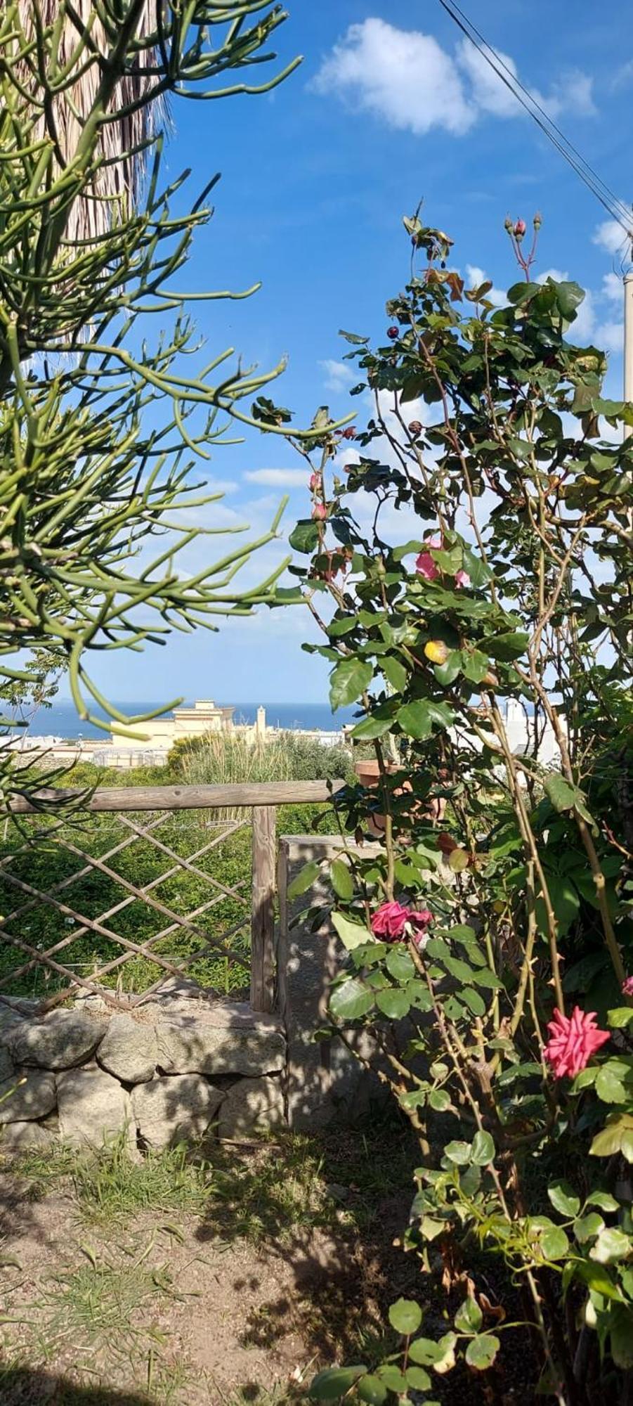 Villa Symphony Sea View Forio di Ischia 외부 사진